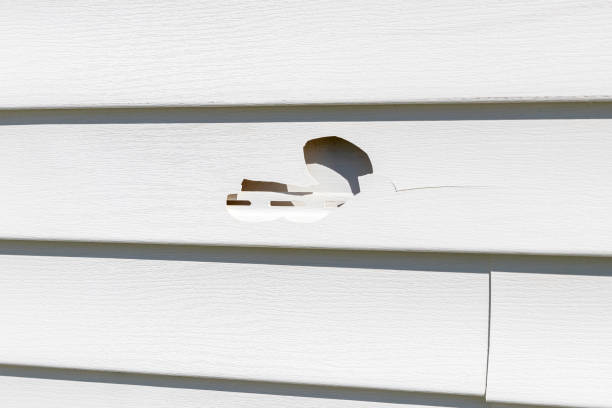 Best Siding Removal and Disposal  in Heritage Lake, IN